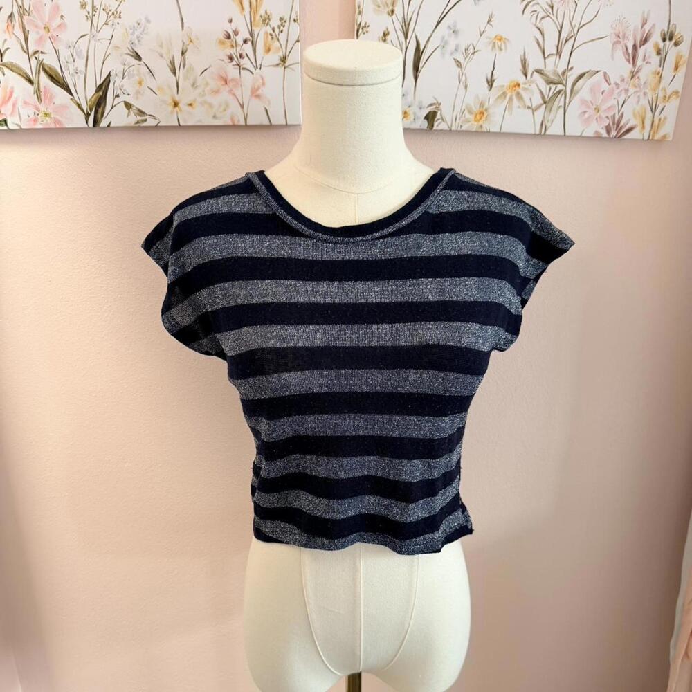 Blue & Silver Sheer Striped Crop Top | Stretchy Y2K Fitted Tee | S